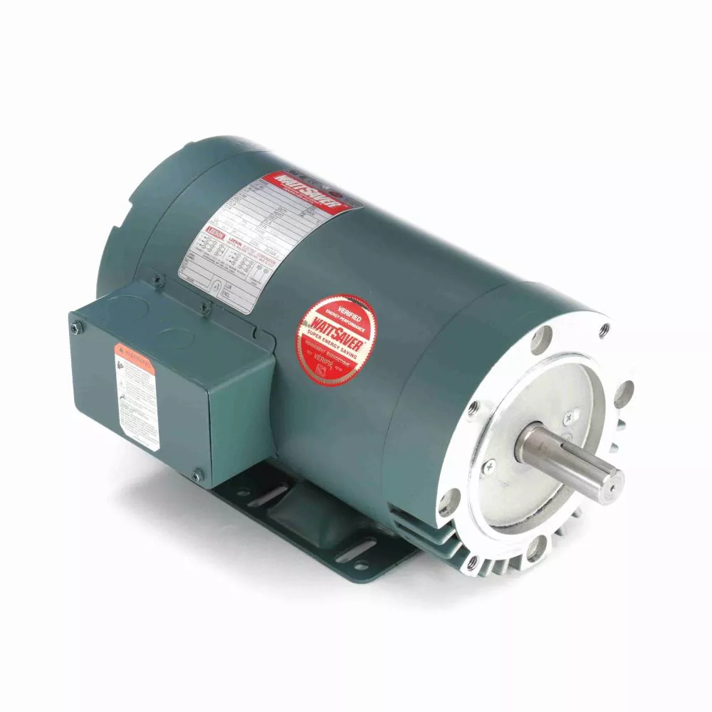 LEESON 121676.00 General Purpose Motor
